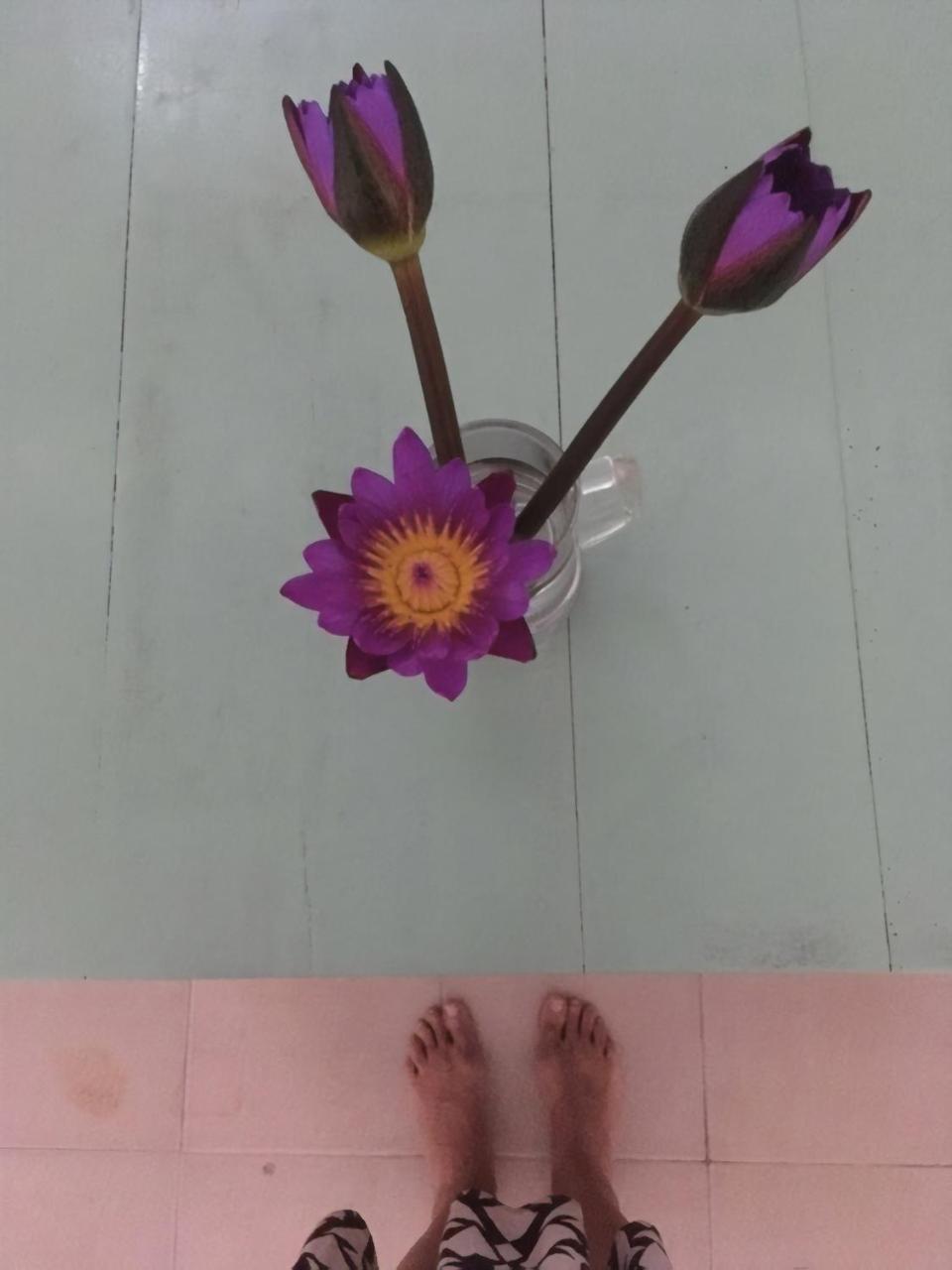 웰리가마 Layback Boutique Surf & Yoga Camp Sri Lanka 호스텔 외부 사진