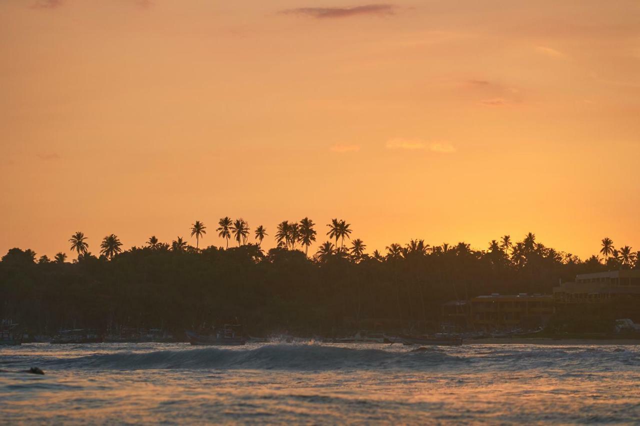웰리가마 Layback Boutique Surf & Yoga Camp Sri Lanka 호스텔 외부 사진