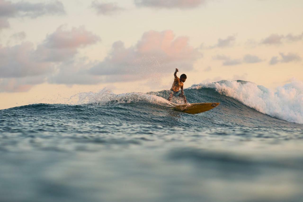 웰리가마 Layback Boutique Surf & Yoga Camp Sri Lanka 호스텔 외부 사진
